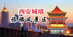 肏大骚逼中国陕西-西安城墙旅游风景区